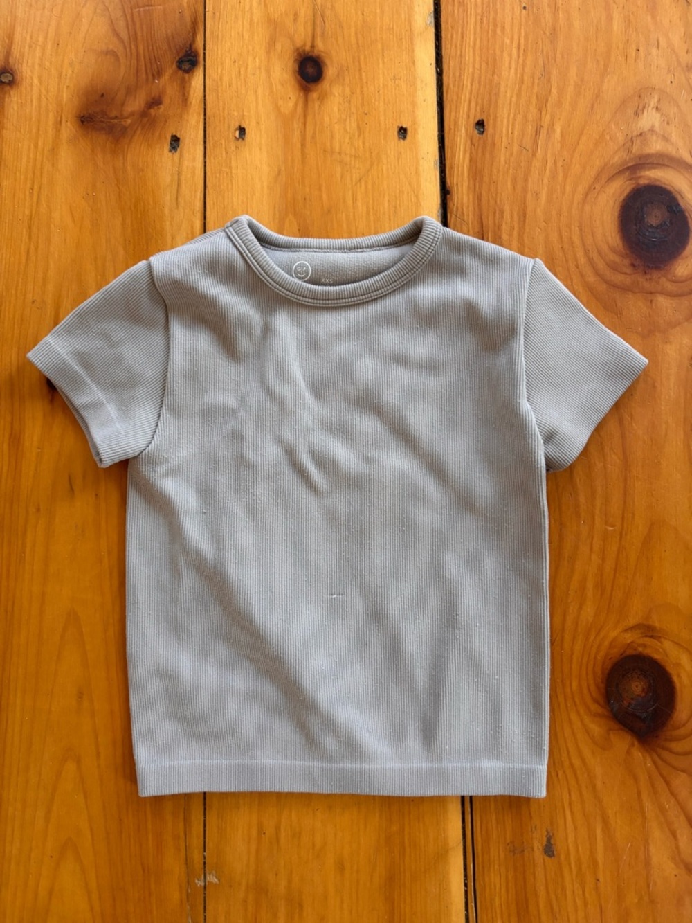 Gilly Hicks Ribbed Baby Tee Crop Top XXS Neutral Beige